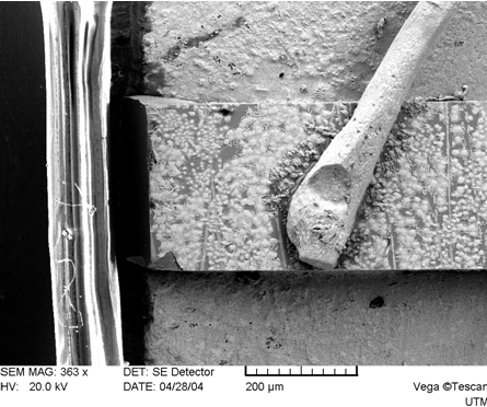 SEM image of the laser diode with cylindrical lens